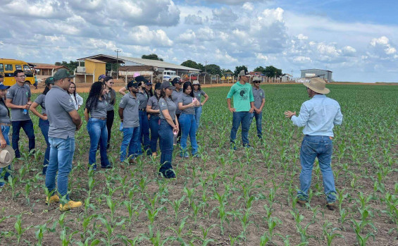 Unitins é referência no Ensino a Distância e celebra êxito do projeto TO Graduado 