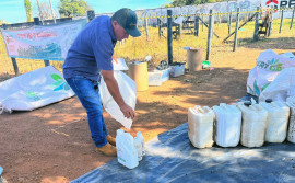 Na Semana do Meio Ambiente, projeto itinerante do Governo do Tocantins recebe mais de 18 mil embalagens vazias de agrotóxicos 
