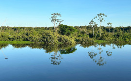 Naturatins divulga chamamento para audiência pública sobre revisão do Plano de Manejo da APA Ilha do Bananal/Cantão
