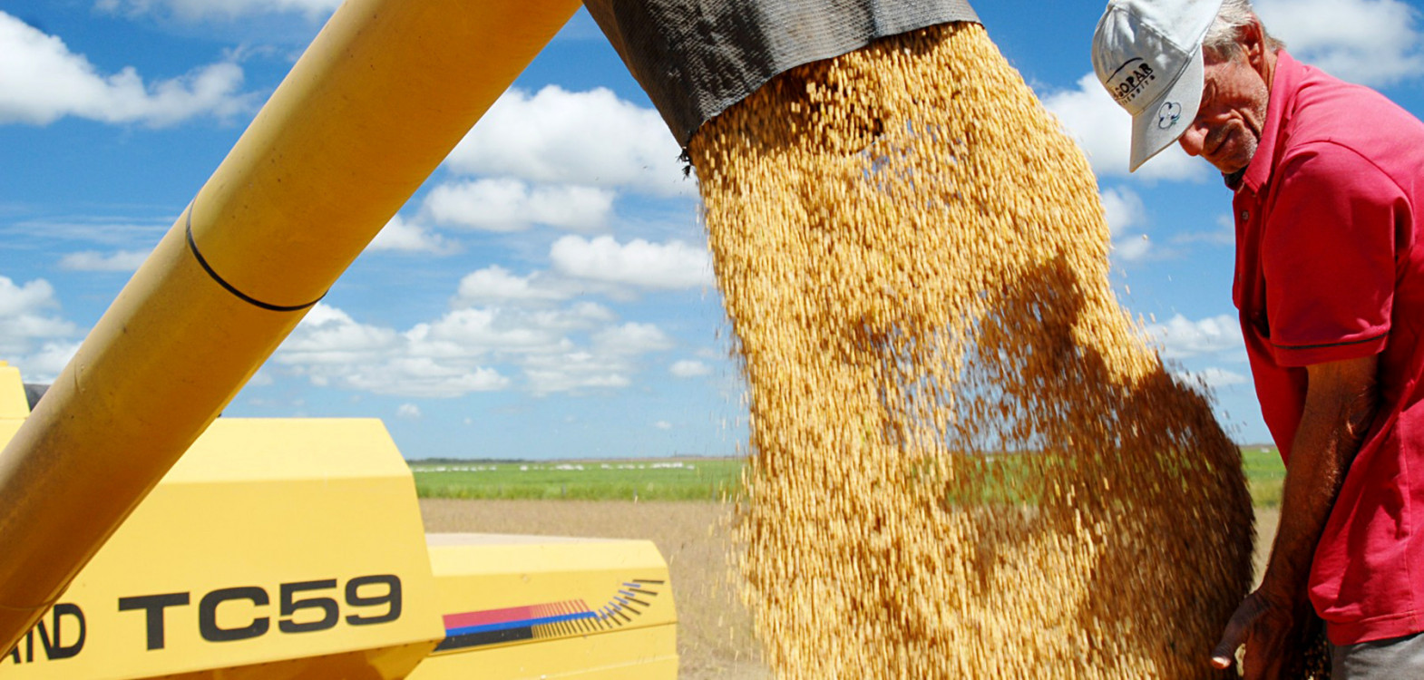 Soja segue como carro-chefe da produção, com uma área cultivada de 1,57 milhão de hectares e uma produção superior a 5,86 milhões de toneladas