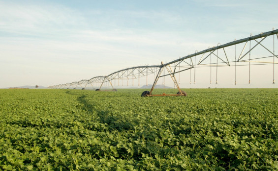 Governo do Tocantins celebra recorde histórico na safra de grãos e consolida protagonismo no agro nacional