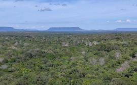 Novo boletim do Cigma aponta redução de 23,5% na área desmatada no Tocantins
