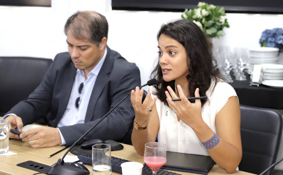 Governo do Tocantins avança em parceria estratégica com organização internacional para impulsionar a transparência nas cadeias produtivas e fortalecer a regularização ambiental 
