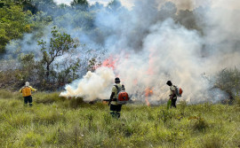 Naturatins realiza Manejo Integrado do Fogo no Parque Estadual do Jalapão e suspende temporariamente visitação às Dunas no dia 24 de junho