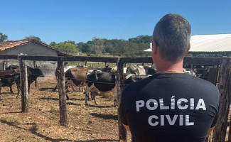 Conflito familiar leva à apreensão de gado pela Polícia Civil em Barrolândia
