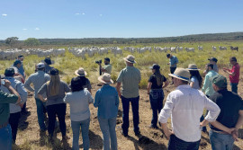 Rota da Pecuária: Governo do Tocantins inicia visitas técnicas com foco em integração e tecnologias no Vale do Araguaia
