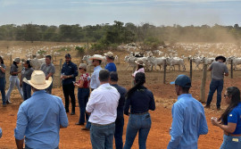 Rota da Pecuária chega à região sul do Tocantins para apresentar experiências e tecnologias avançadas aos produtores
