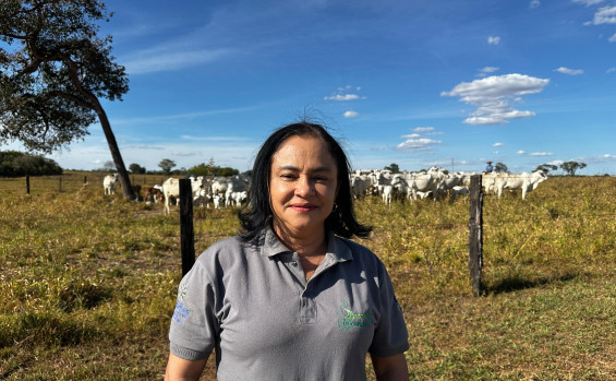 Rota da Pecuária avança na região centro-norte do Tocantins com foco em inovação e integração na produção bovina