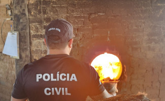 Operação Narke IV: Polícia Civil do Tocantins incinera 7 kg de entorpecentes no sudeste do Estado