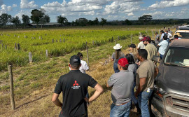 Com tecnologias de ponta para a produção sustentável de bovinos, Rota da Pecuária encerra com sucesso no norte do Tocantins