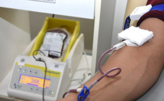 Governo do Tocantins sanciona lei que amplia conscientização para a doação de sangue