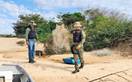 Naturatins recolhe 40 kg de pescados durante operação de fiscalização ambiental