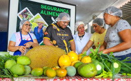 Com políticas públicas efetivas do Governo do Estado, Tocantins avança na política de Segurança Alimentar com adesão de novos municípios ao Sisan