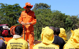 Tocantins reduz focos de queimadas em 24,9% e áreas afetadas em 14,8% nos primeiros meses de 2025