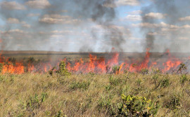 Governo do Tocantins suspende autorizações de queima controlada a partir de 20 de julho