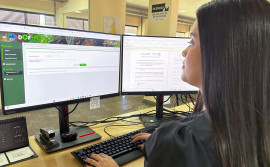 Naturatins realiza migração de dados do Documento de Origem Florestal Legado para novo sistema até dezembro