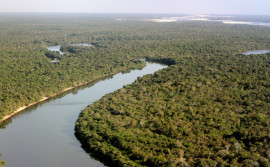 Naturatins celebra 27 anos de história e preservação do Parque Estadual do Cantão