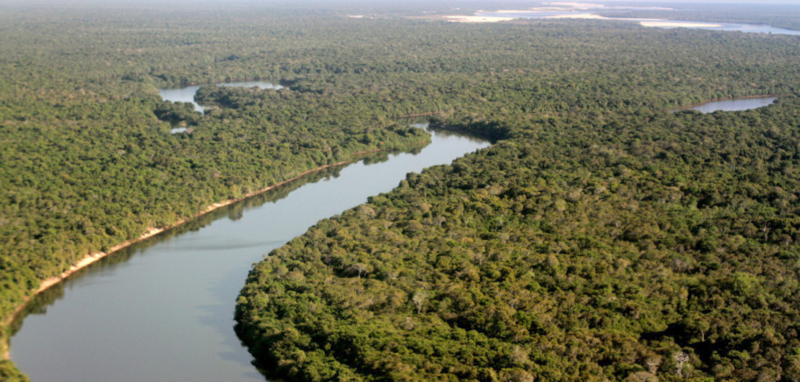 Gerido pelo Natruatins, Parque Estadual do Cantão é reconhecido por sua rica biodiversidade e por integrar características dos biomas Cerrado e Amazônico 
