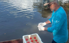 Governo do Tocantins registra os melhores índices de qualidade da água em 80 pontos monitorados no primeiro trimestre de 2025

