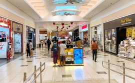 Setor de serviços no Tocantins cresce 8,3% no acumulado de 2025, aponta IBGE