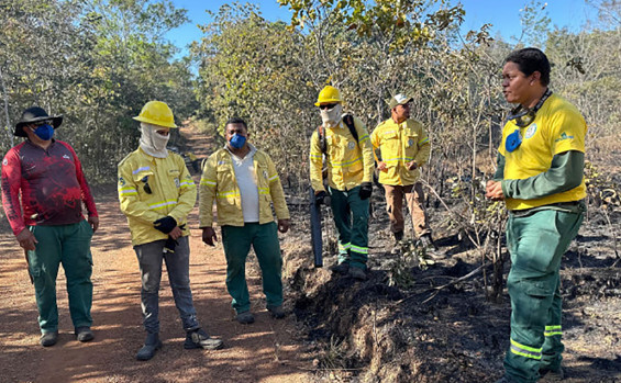 Governo do Tocantins conclui treinamento de novos brigadistas com prática de combate a incêndios florestais 