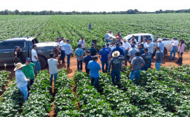Governo do Tocantins realiza nova edição do Café no Campo com foco em produtividade e gestão na pecuária