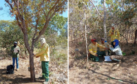 Naturatins conclui instalações de câmeras do Programa Monitora no Parque Estadual do Lajeado