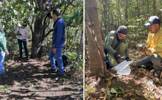 Naturatins conclui instalações de câmeras do Programa Monitora no Parque Estadual do Lajeado