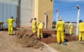 Governo do Tocantins intensifica oferta de cursos profissionalizantes nas unidades prisionais do Tocantins