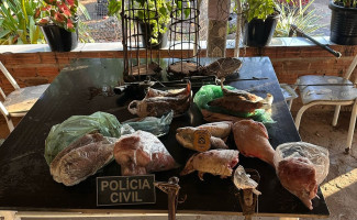 Em Dois Irmãos, Polícia Civil do Tocantins deflagra operação contra crimes ambientais com prisão e apreensão de material proibido 