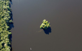 Naturatins informa sobre novo fluxo para licenciamento ambiental em Unidades de Conservação

