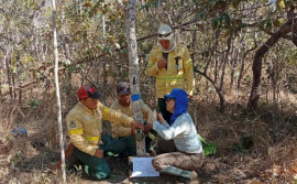 Naturatins realiza melhorias no Parque Estadual do Lajeado para reforçar segurança e estrutura de visitação