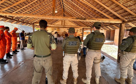 Governo do Tocantins inicia Operação Capim-Dourado para coibir ilegalidades e proteger o Cerrado
