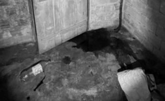 Polícia Civil indicia homem que torturou e matou a esposa diante do filho de 8 anos em Nova Olinda
