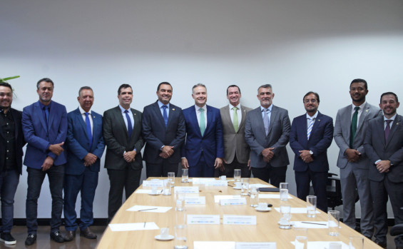 Bancada federal tocantinense também participou da reunião que ocorreu nesta quarta-feira, 6 - Thiago Cruz/Governo do Tocantins