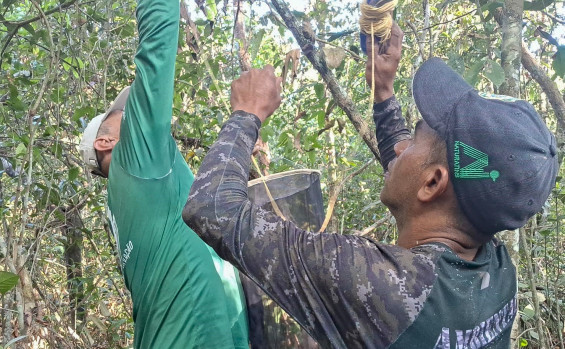 Naturatins realiza implantação do Programa Monitora, no Parque Estadual do Cantão 