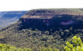 Governo do Tocantins registra redução de 19,9% no desmatamento entre janeiro e julho de 2025