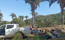 Naturatins apoia mulheres extrativistas no transporte do coco babaçu
