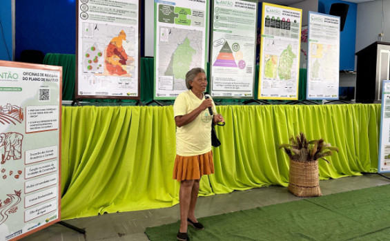 Governo do Tocantins encerra oficinas participativas do Plano de Manejo da APA Ilha Bananal/Cantão