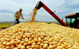 Tocantins deve aumentar produção de grãos para 8,4 milhões de toneladas e manter liderança na Região Norte em 2025