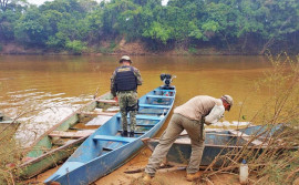 Naturatins resgata 60 tartarugas durante operação de fiscalização em Araguacema e Lagoa da Confusão
