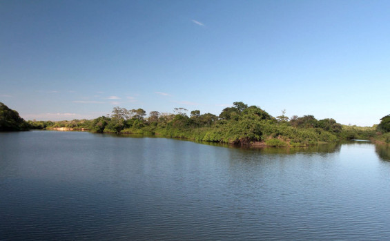 Governo do Tocantins envia, à Aleto, Medida Provisória que institui o Programa Tocantins Restaura 