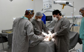 Governo do Tocantins realiza mutirões de cirurgias eletivas no Hospital Geral de Palmas e no Hospital Regional de Araguaína