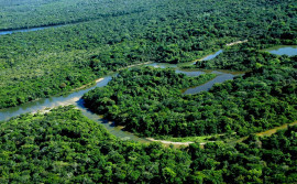 Governo do Tocantins promove ações preventivas contra febre aftosa e influenza aviária na Ilha do Bananal
