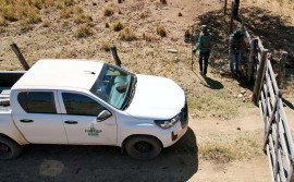 Governo do Tocantins realiza mutirão de atendimentos de regularização fundiária em Combinado 