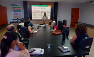 SES-TO realiza primeira reunião do comitê consultivo do NEGESP 