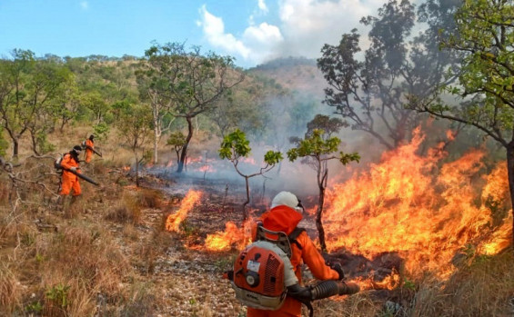 Com plano de combate estratégico, Tocantins registra queda de 28,7% na área queimada 