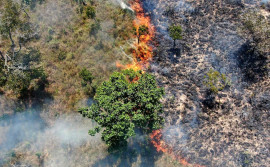 Com plano de combate estratégico, Tocantins registra queda de 28,7% na área queimada

