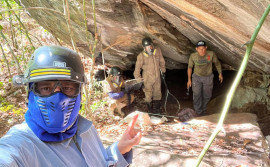 Adapec realiza ações de controle da raiva dos herbívoros na região sudeste do Tocantins