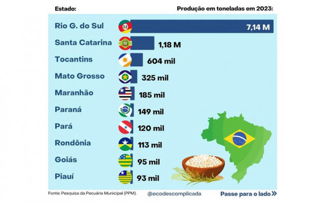 Pesquisa da Pecuária Municipal (PPM) consolida o Tocantins como o terceiro maior produtor de arroz do país - Divulgação